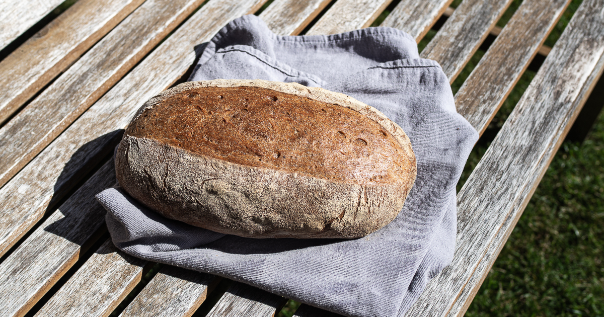 Brote für Brotbackstarter Nr. 4: Alltags-Weizen-Rucbrot