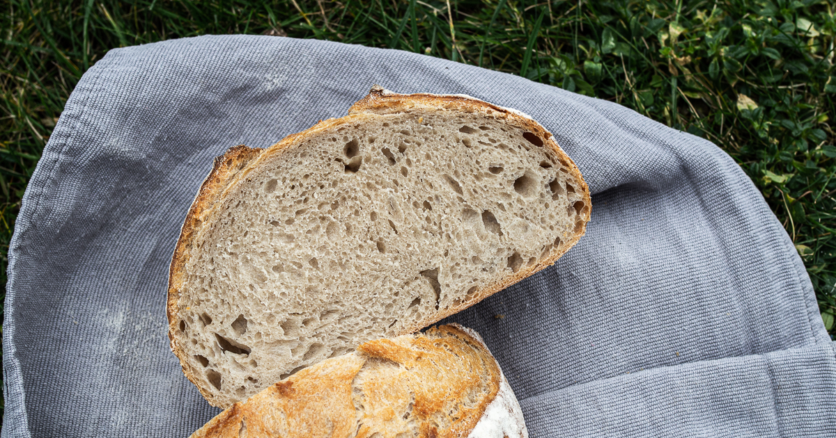 Brote für Brotbackstarter Nr. 7: Das Graue & Einfache
