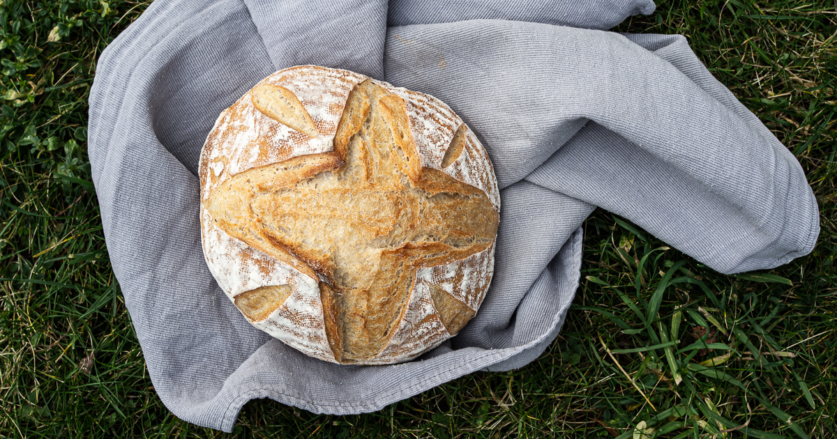 Brote für Brotbackstarter Nr.6: Das Helle & Einfache